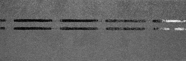 Коньково-карнизная черепица Docke Premium, черника купить в Калаче-на-Дону