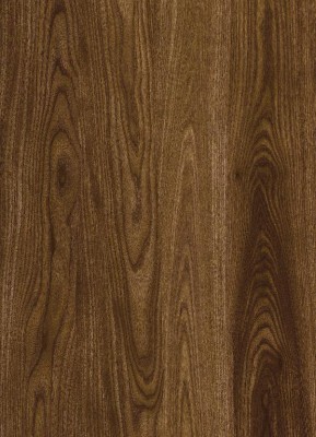 Фиброцементные панели Panda Дерево бук 07450F